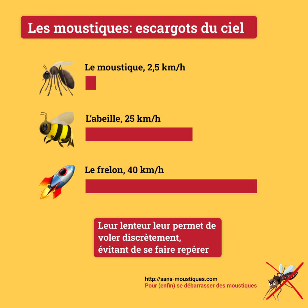 Comparaison de la vitesse de vol des moustiques avec d’autres insectes comme les abeilles et les frelons.