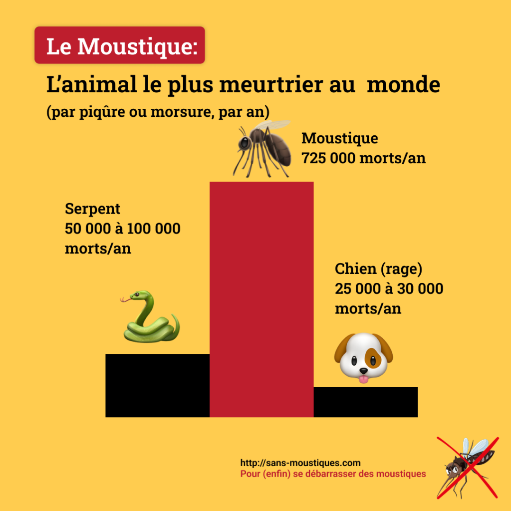 Le moustique, l'animal le plus dangereux au monde