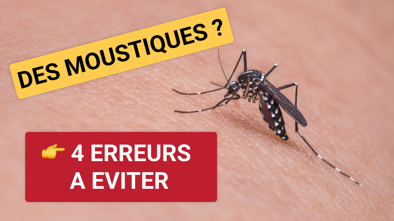 4 erreurs à éviter pour ne plus avoir de moustiques